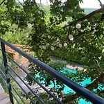 Le Moonloft Insolite Tiny-house Dans Les Arbres & 1 Seance De Sauna Pour 2 Avec Vue Panoramique