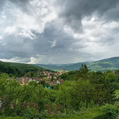 Le Moonloft Insolite Tiny-house Dans Les Arbres & 1 Seance De Sauna Pour 2 Avec Vue Panoramique * Osenbach